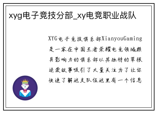 xyg电子竞技分部_xy电竞职业战队